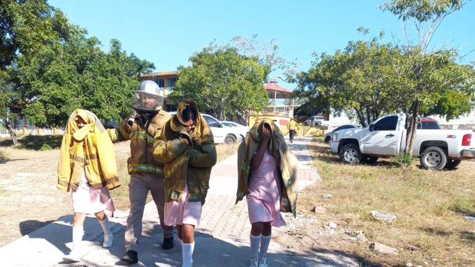 M Xico Decenas De Alumnos Y Maestros Hospitalizados Por Picadura De