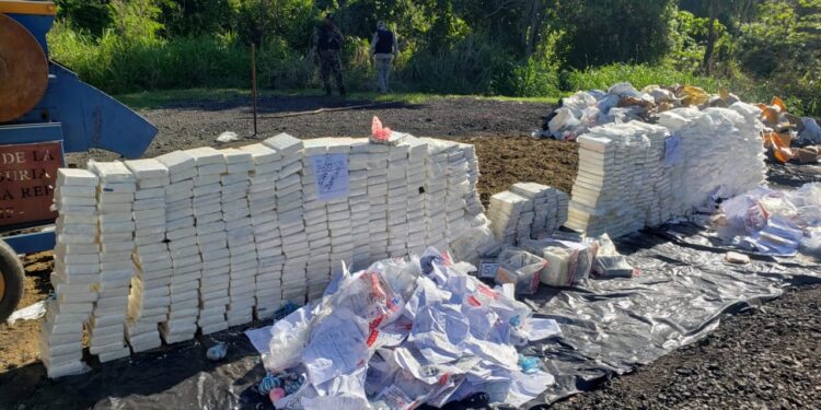 PGR incinera más de 1 060 kilogramos de distintas drogas El Quinto