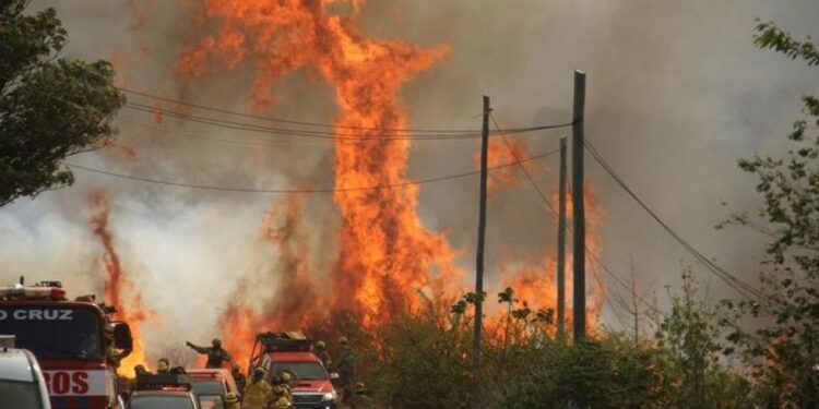 Evacuan A Varias Familias Tras Voraz Incendio Forestal En Argentina El Quinto Elemento Tv