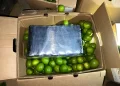 Decomisan 201 paquetes de presunta cocaína en contenedor de limones en Manzanillo