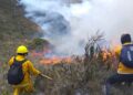 Perú declara estado de emergencia en varias regiones por incendios forestales 