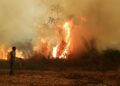 Gobierno de Bolivia decreta «pausa ambiental» tras devastadores incendios