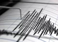 Sismo en Venezuela: magnitud de 4,9 y sin víctimas