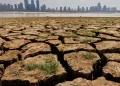 Día Internacional contra el Cambio Climático: Un llamado urgente a la acción