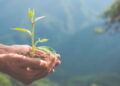 Hoy es el Día Internacional de la Prevención de la Explotación del Medio Ambiente