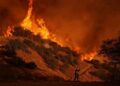 Asciende a 16 la cifra de muertos por incendios forestales en Los Ángeles