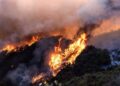 24 muertos por incendios forestales en California; investigan posibles causas humanas